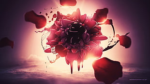 shallow focus photography of red roses