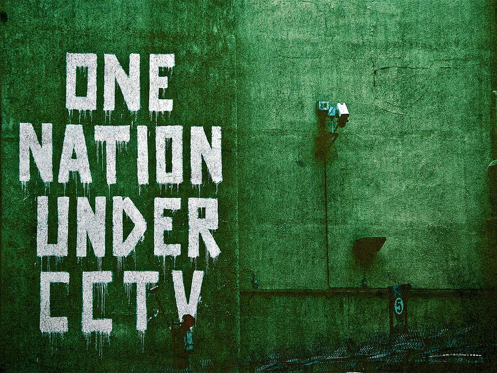 green wall, artwork, typography HD wallpaper