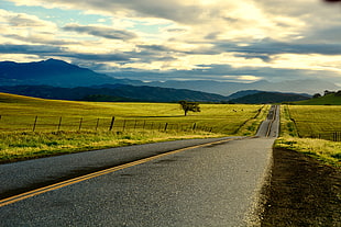 gray road photo, highway 246 HD wallpaper
