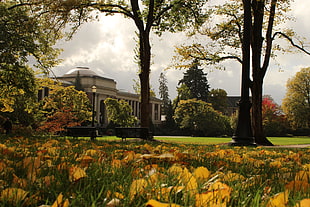 green grass, Oregon, old building, building, fall