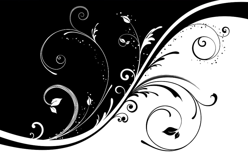 white and black floral wallpaper HD wallpaper