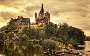 brown and white house near body of water painting, cathedral, limburg