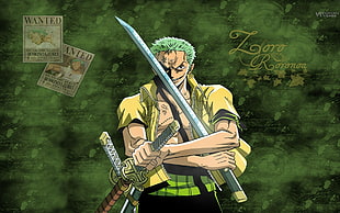 One Piece Roronoa Zorro digital wallpaper, One Piece, Roronoa Zoro, anime boys, sword HD wallpaper