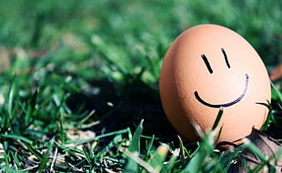 brown egg with smiley photo