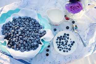 blueberries on bowl filled with milk
