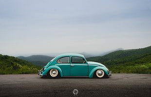green Volkswagen Beetle coupe under gray sky