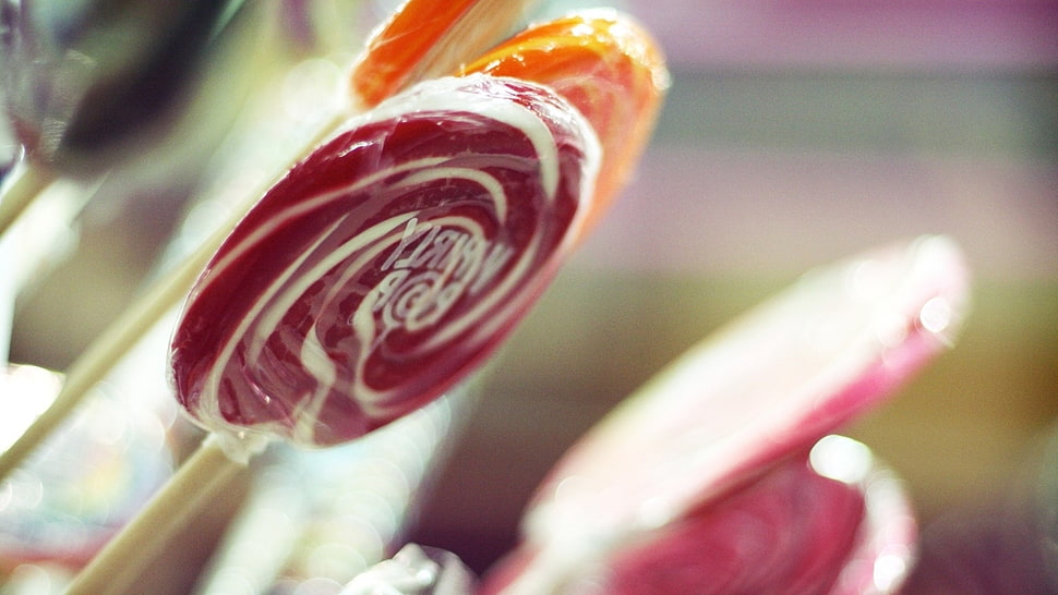 several assorted-color lollipops HD wallpaper