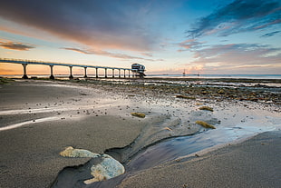seashore beside concrete bridge during daytime HD wallpaper