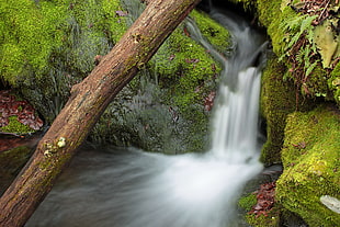 photograph of waterfall HD wallpaper