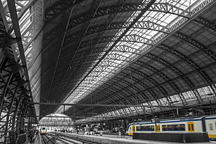 black and white metal frame, train, train station, Amsterdam