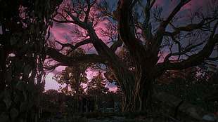 bare tree illustration, The Witcher 3: Wild Hunt, Geralt of Rivia, Yennefer of Vengerberg, garden HD wallpaper