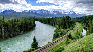 green trees, landscape, river, forest, railway
