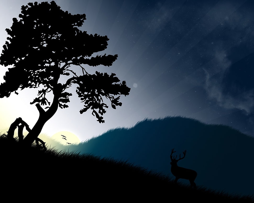 silhouette photo pf tree and mountain HD wallpaper