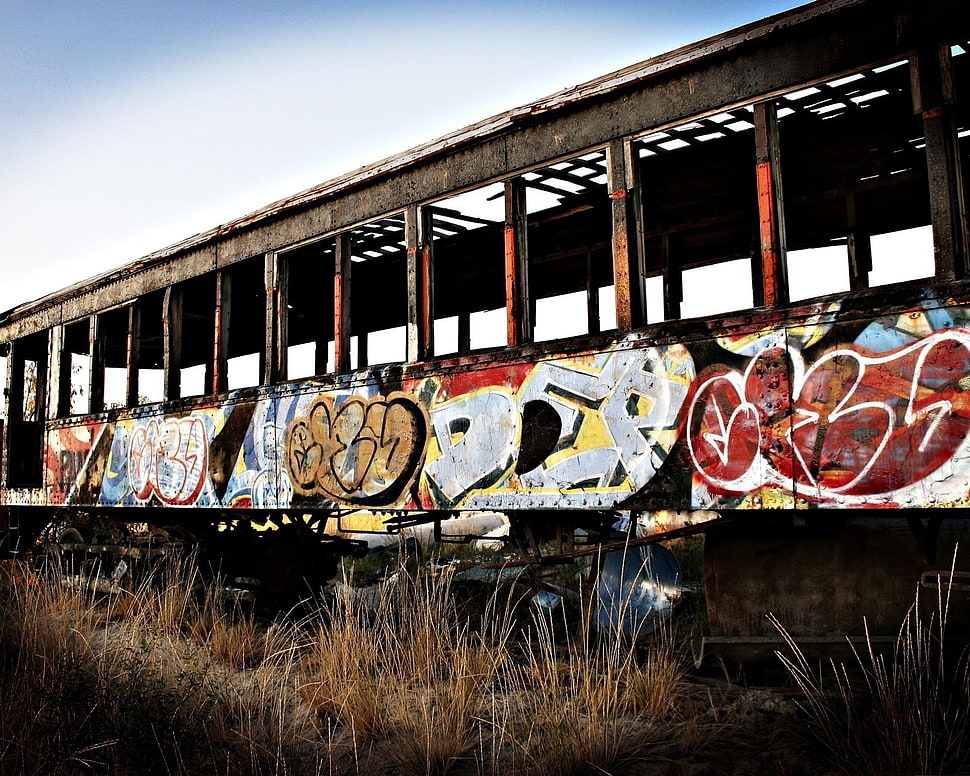 gray and white train, graffiti, train, abandoned HD wallpaper