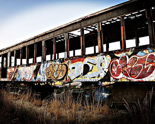 gray and white train, graffiti, train, abandoned