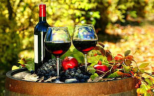Glasses,  Red grapes,  Wine,  Barrel