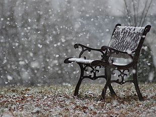black metal bench, winter, snow