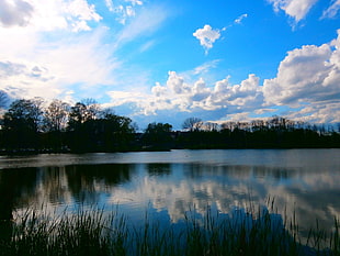 lake with tress, lake, sky, Serbia HD wallpaper