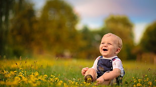blue dressed baby on yellow flower field