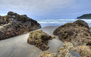 large brown rocks, sea, nature, beach, rock HD wallpaper
