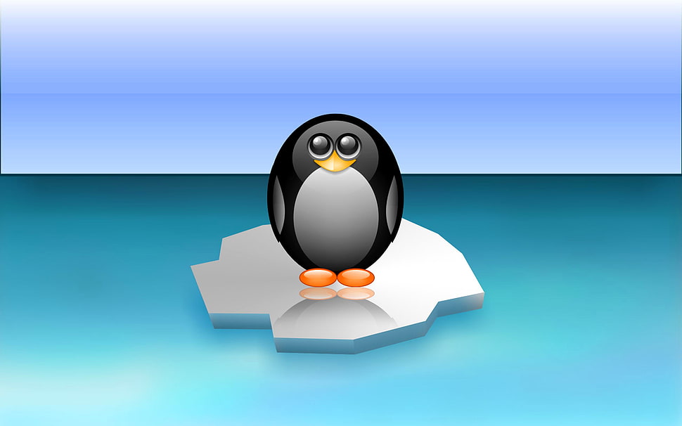 Penguin sticker illustration HD wallpaper