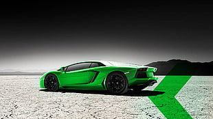 green Lamborghini Gallardo coupe, car, Lamborghini, selective coloring HD wallpaper