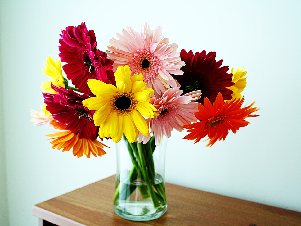 red and yellow flower centerpiece HD wallpaper