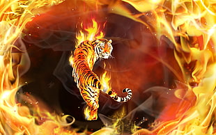 flaming tiger illustration