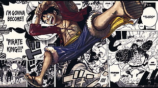 anime, One Piece HD wallpaper