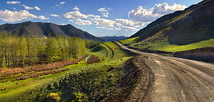 rough road near green fields near mountain