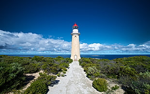 brown and red lighthouse near open sea water during daytime