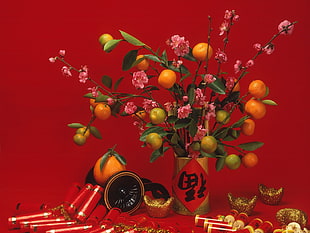 citrus fruits decor HD wallpaper