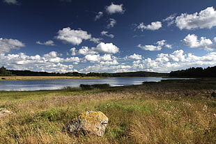 gray stone on green grass near river under white clouds and blue sky during daytime, vuoksa