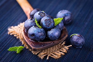 blueberry in bowl, fruit, plants HD wallpaper