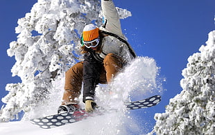 person Snowboarding near white trees