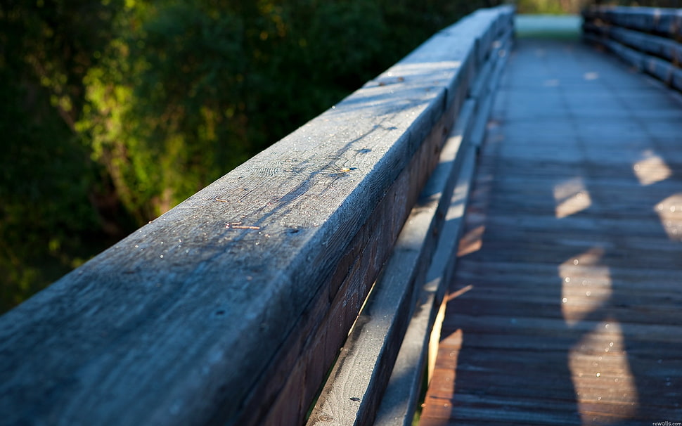 gray wooden bridge, bridge, wood HD wallpaper