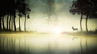silhouette of deer in forest, digital art, fantasy art, animals, deer