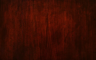 red and white area rug, texture, red