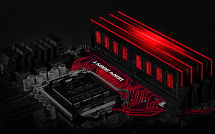 red and black graphic card