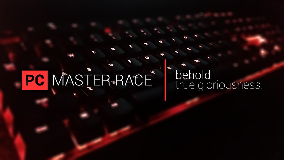 black computer keyboard, Master Race, computer, keyboards HD wallpaper