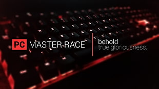 black computer keyboard, Master Race, computer, keyboards HD wallpaper