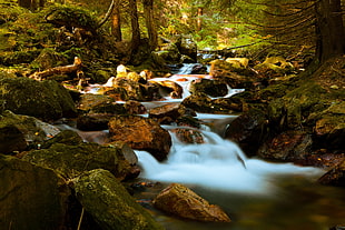 running water between forest