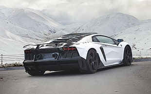 white coupe, car, vehicle, Lamborghini Aventador, Lamborghini HD wallpaper