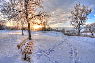 brown wooden bench snow weather