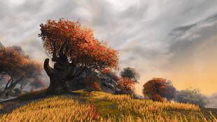 red leafed tree, orange tree, Guildwars 2, screen shot HD wallpaper