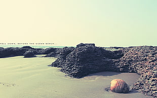 landscape photography of seashore with black rocks on side