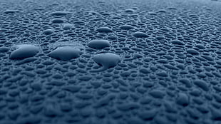 water, water drops, rain HD wallpaper