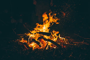 glowing fire with coal