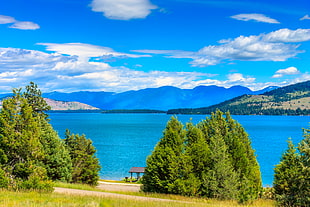 green trees near blue waters by the mountains, montana