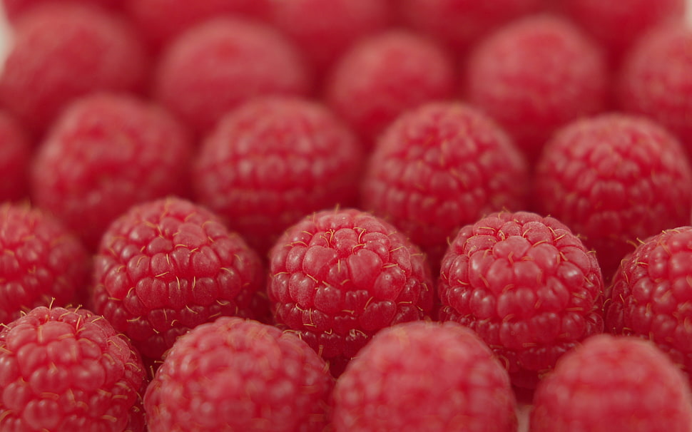 Raspberry fruit lot HD wallpaper